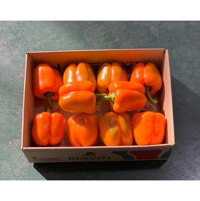 주황파프리카(2kg/특/1박스)