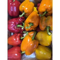 비품 파프리카(5kg/1박스)