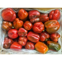 비품 파프리카(5kg/1박스)