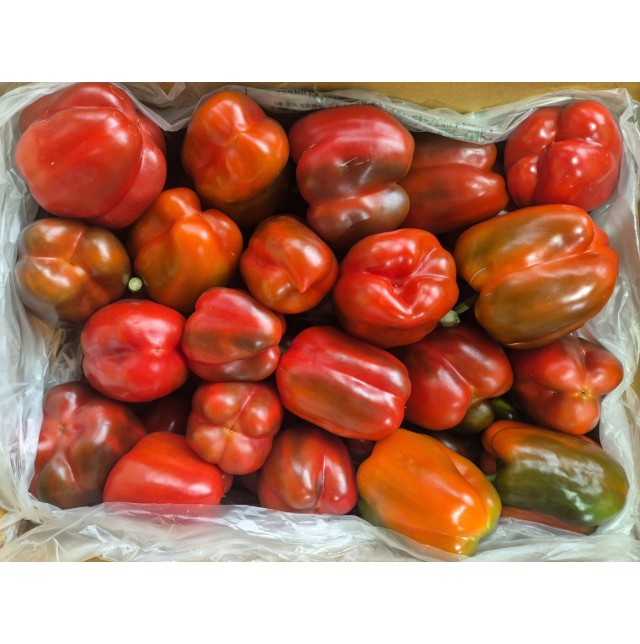 비품 파프리카(5kg/1박스)
