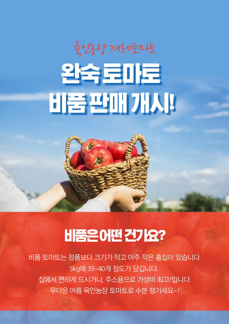 비품 겨레토마토(5kg/1박스)