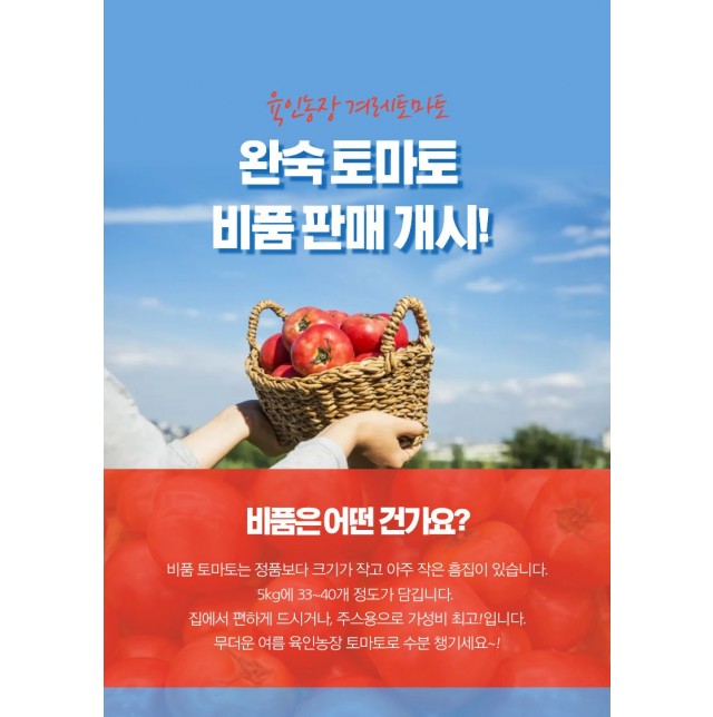 비품 겨레토마토(5kg/1박스)